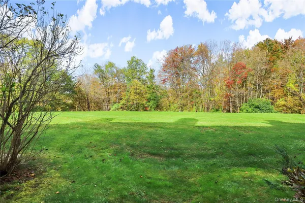 a view of yard with green space