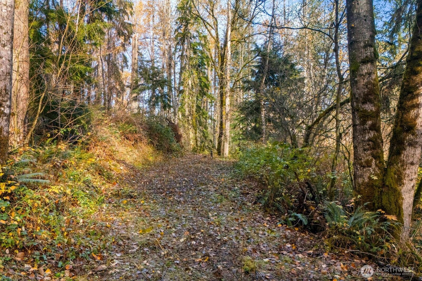 15 Brookside Place Snohomish, WA 98290 - Photo 1 of 13