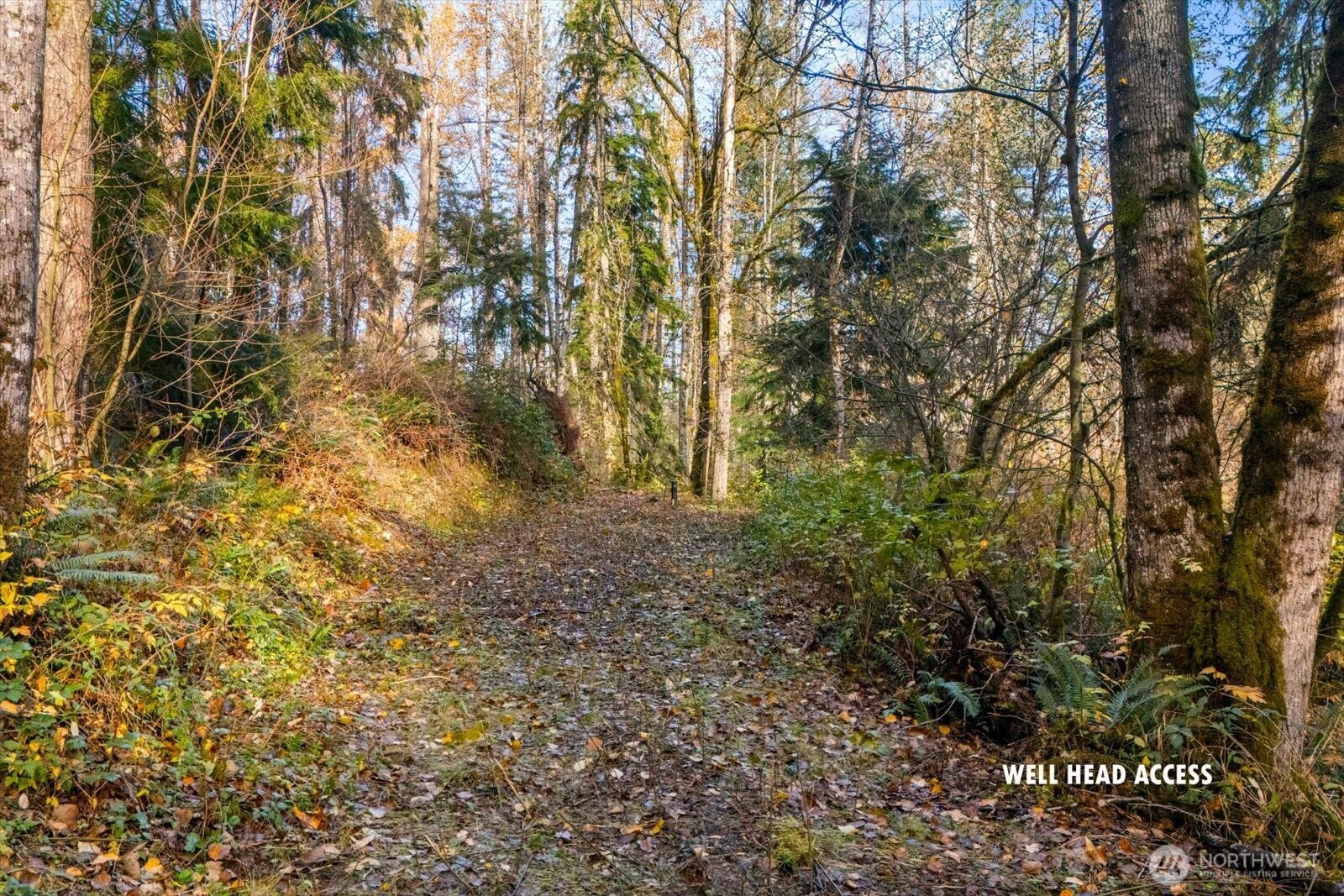 15 Brookside Place Snohomish, WA 98290 - Photo 3 of 13