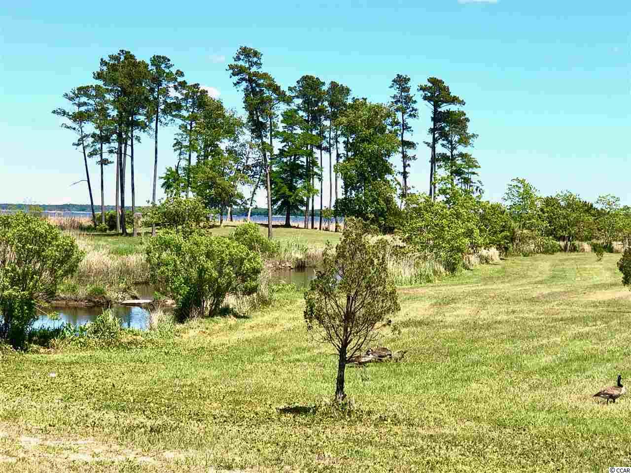 Lot # South Bay Street Georgetown, SC 29440 - Photo 11 of 15
