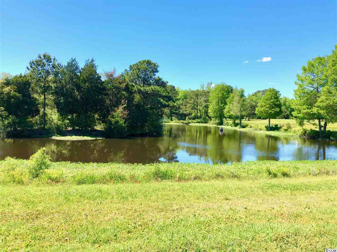 Lot # South Bay Street Georgetown, SC 29440 - Photo 12 of 15