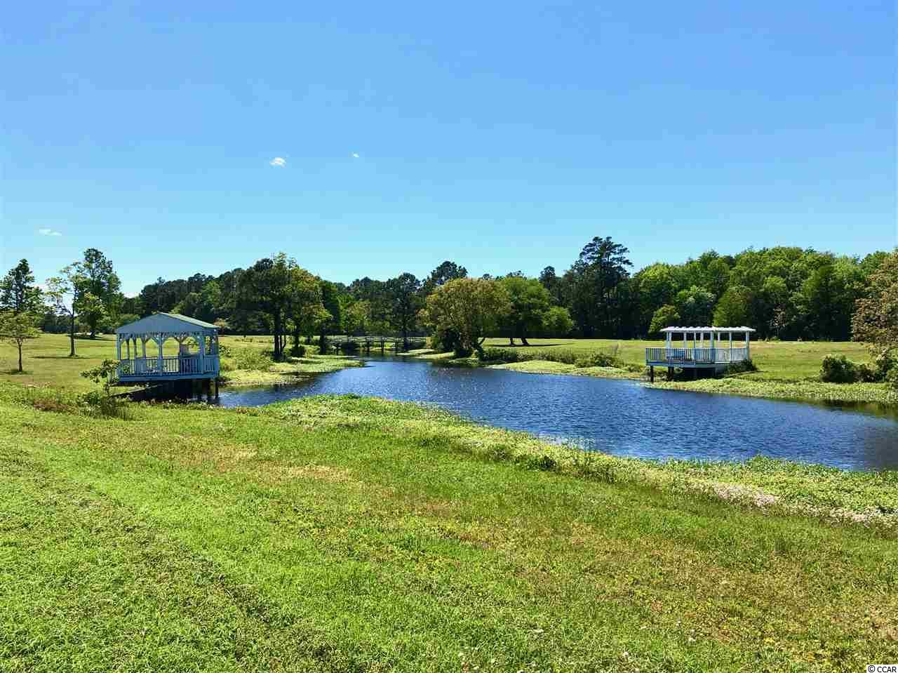 Lot # South Bay Street Georgetown, SC 29440 - Photo 13 of 15
