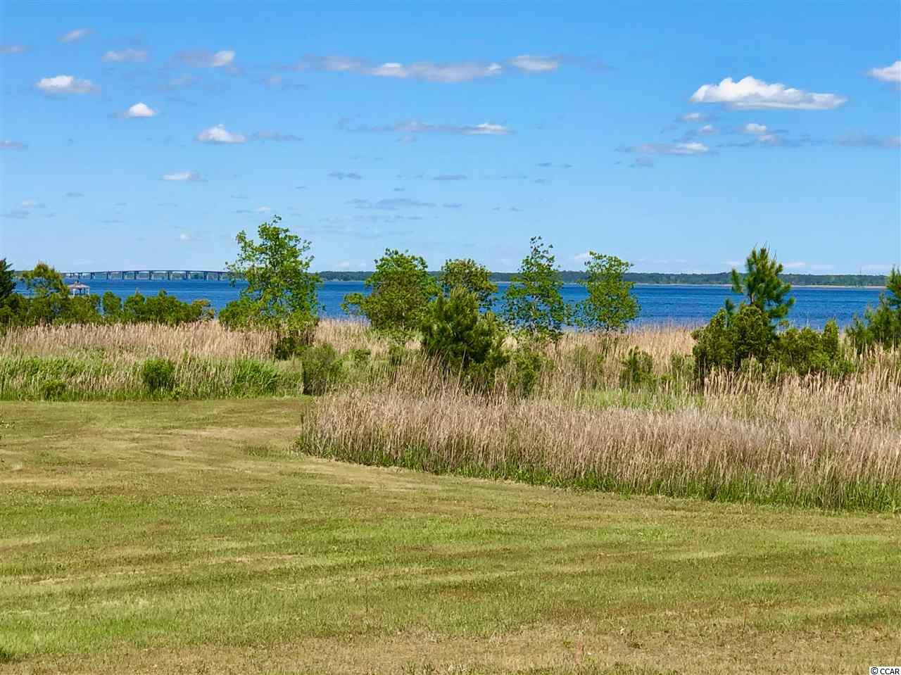 Lot # South Bay Street Georgetown, SC 29440 - Photo 15 of 15