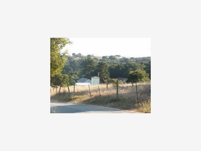 232 Walker Valley Road Castroville, CA 95012 - Photo 5 of 9 Gallery Image 5