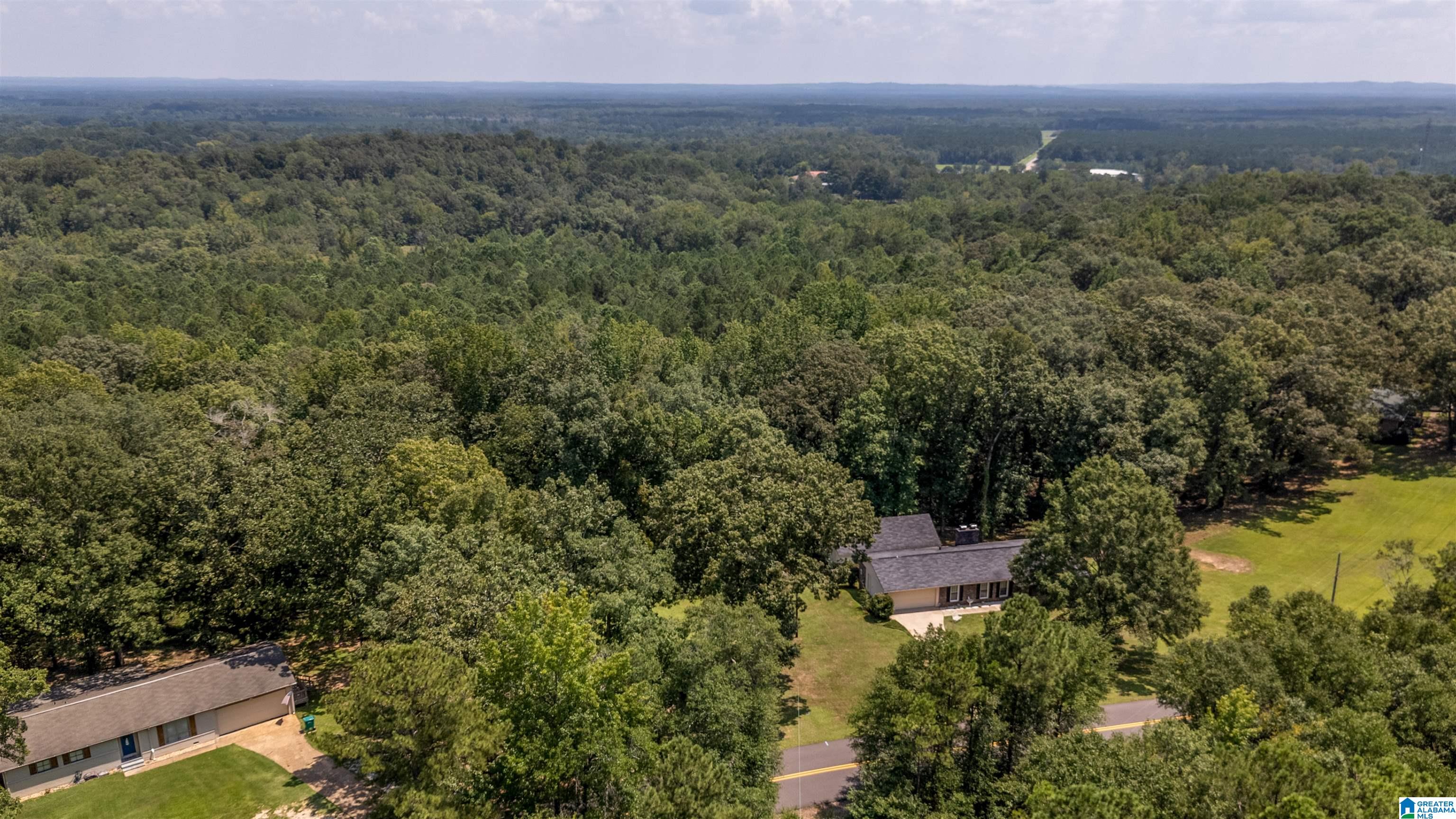13480 Sand Road Fosters, AL 35463 - Photo 34 of 40