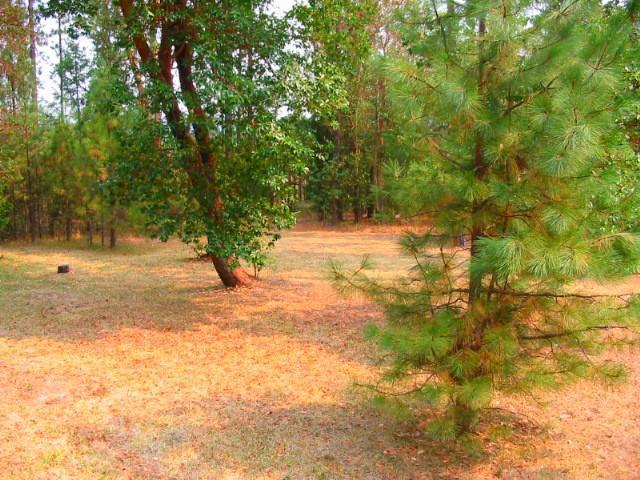 16786 Water Gap Road Williams, OR 97544 - Photo 26 of 34 Additional Photo