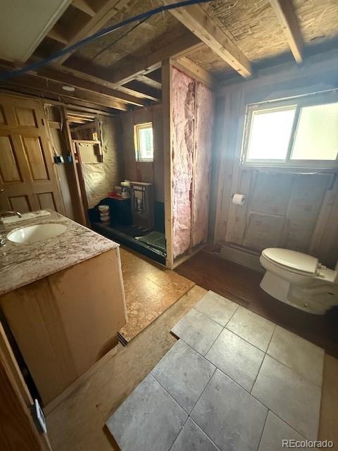 325 Aspen Road Idaho Springs, CO 80452 - Photo 10 of 12 a bathroom with a sink and a mirror