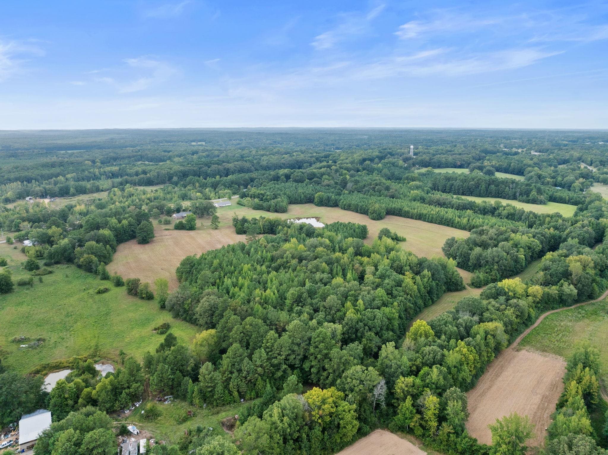 116 County Road 713 Corinth, MS 38834 - Photo 12 of 40 Aerial view of sparsely populated area