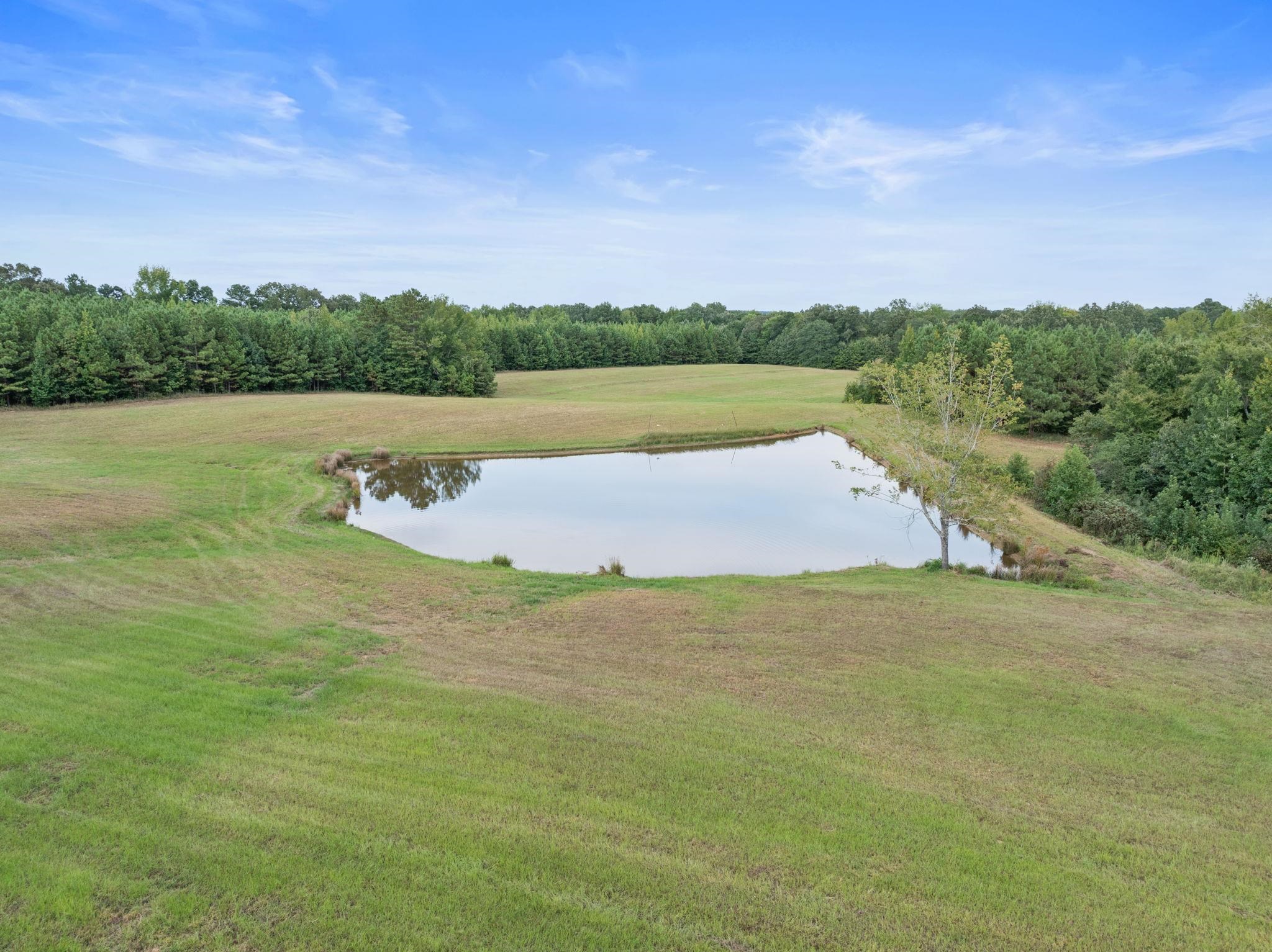 116 County Road 713 Corinth, MS 38834 - Photo 16 of 40 a view of a lake with houses in the background
