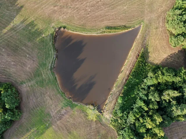 a view of a garden in a backyard