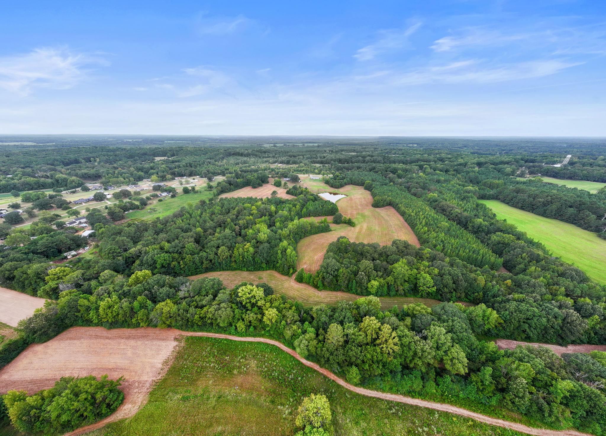 116 County Road 713 Corinth, MS 38834 - Photo 8 of 40 Aerial view of a forest