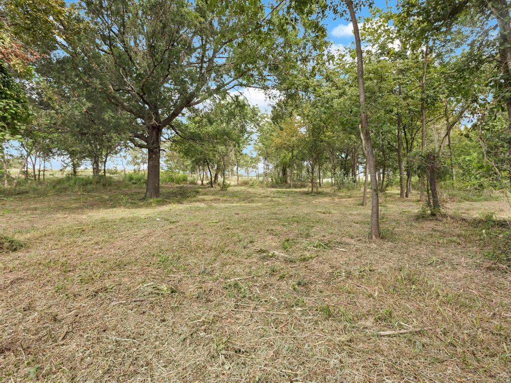 Tbd Tbd Anglers Point Drive Emory, TX 75440 - Photo 15 of 27 a view of a field with trees