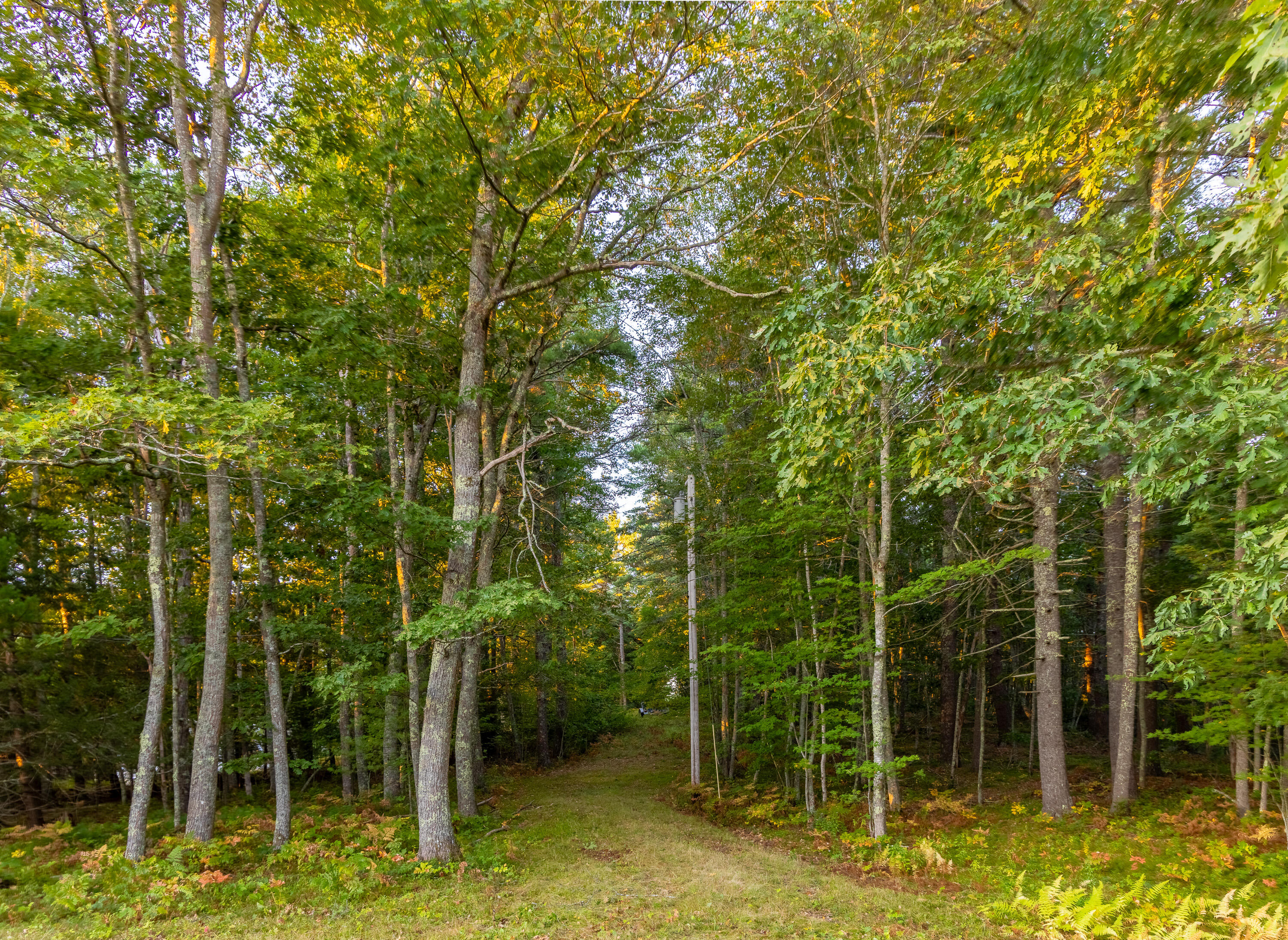 213 Fiddlers Reach Road Phippsburg, ME 04562 - Photo 24 of 58 213 Fiddlers Reach