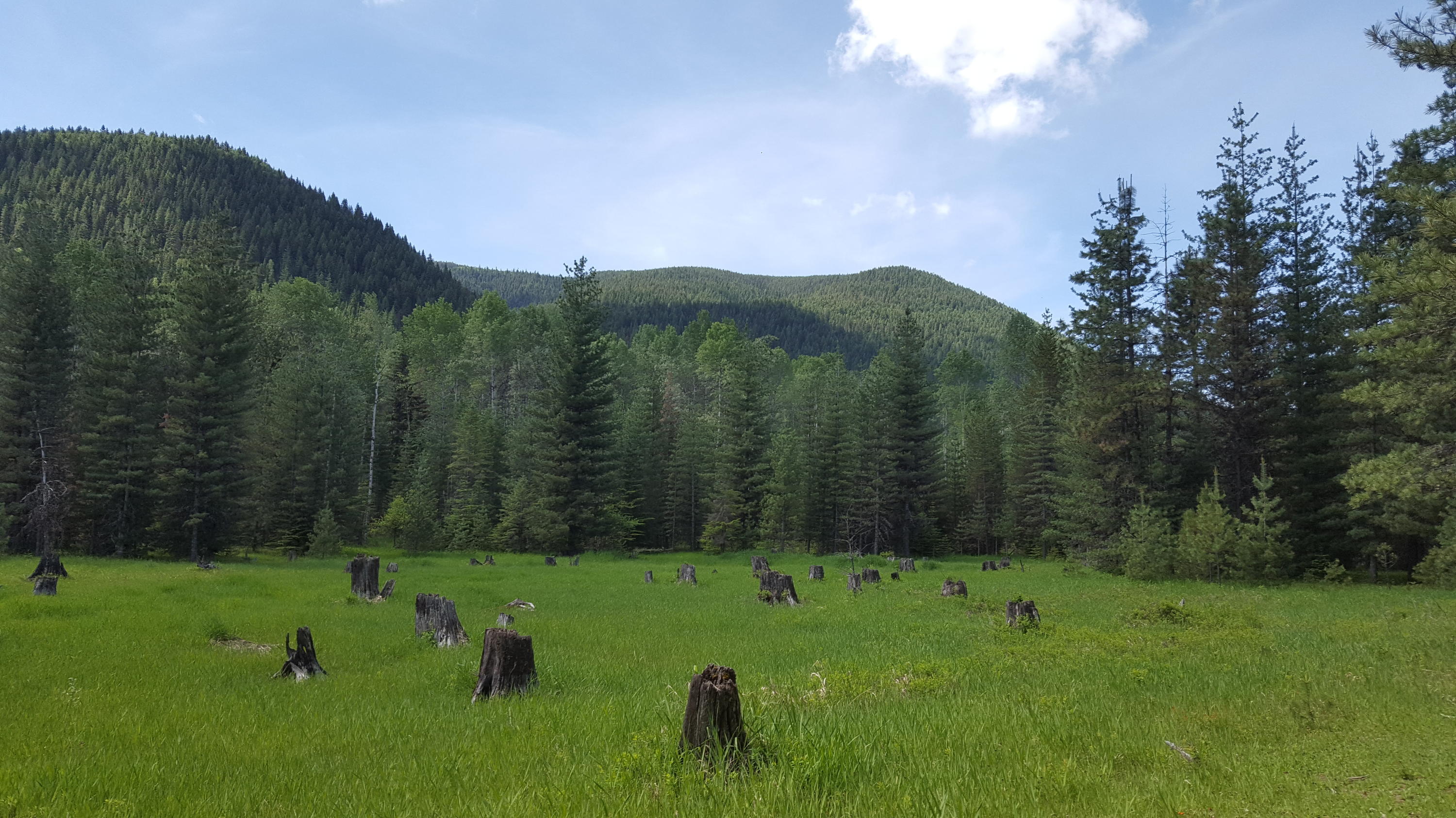 32 Road 32 Clark Fork, ID 83811 - Photo 1 of 1 20180530_104346