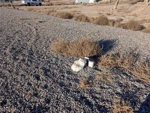 $64,000 | Ln-apn 3-121-20 ( 43 Acres), Caliente, NV 89008