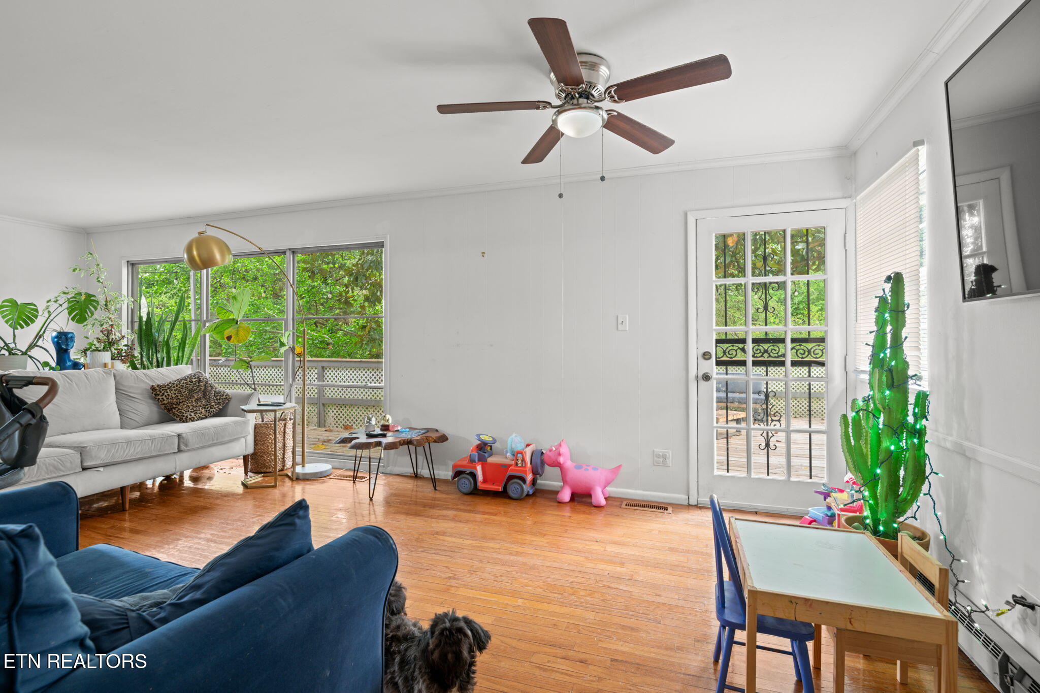 109 Albany Road Oak Ridge, TN 37830 - Photo 10 of 29 Main level living room