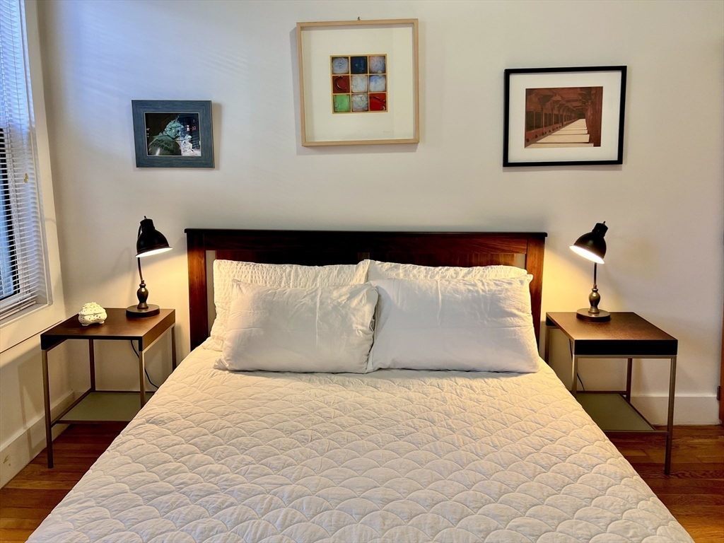 1 Torpie Street, Unit 1 Boston, MA 02120 - Photo 8 of 21