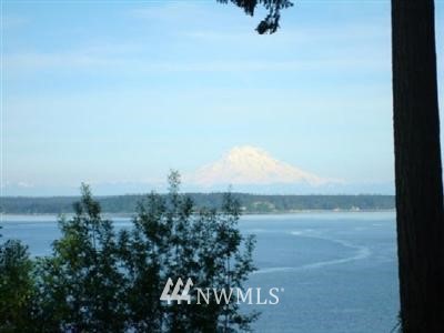 9830 Johnson Point Road Northeast Olympia, WA 98516 - Photo 1 of 1 Gallery Image 1