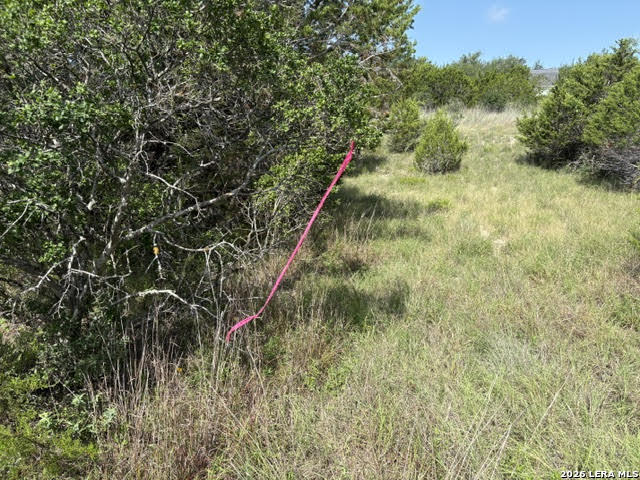 351 Ridge Point Spring Branch, TX 78070 - Photo 19 of 34