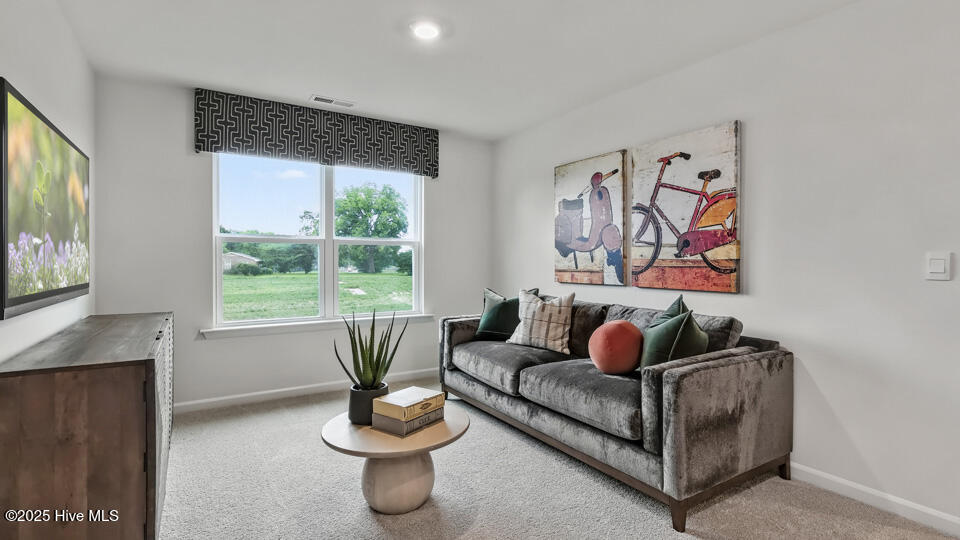 114 Rashford Way Raeford, NC 28376 - Photo 15 of 35 Loft