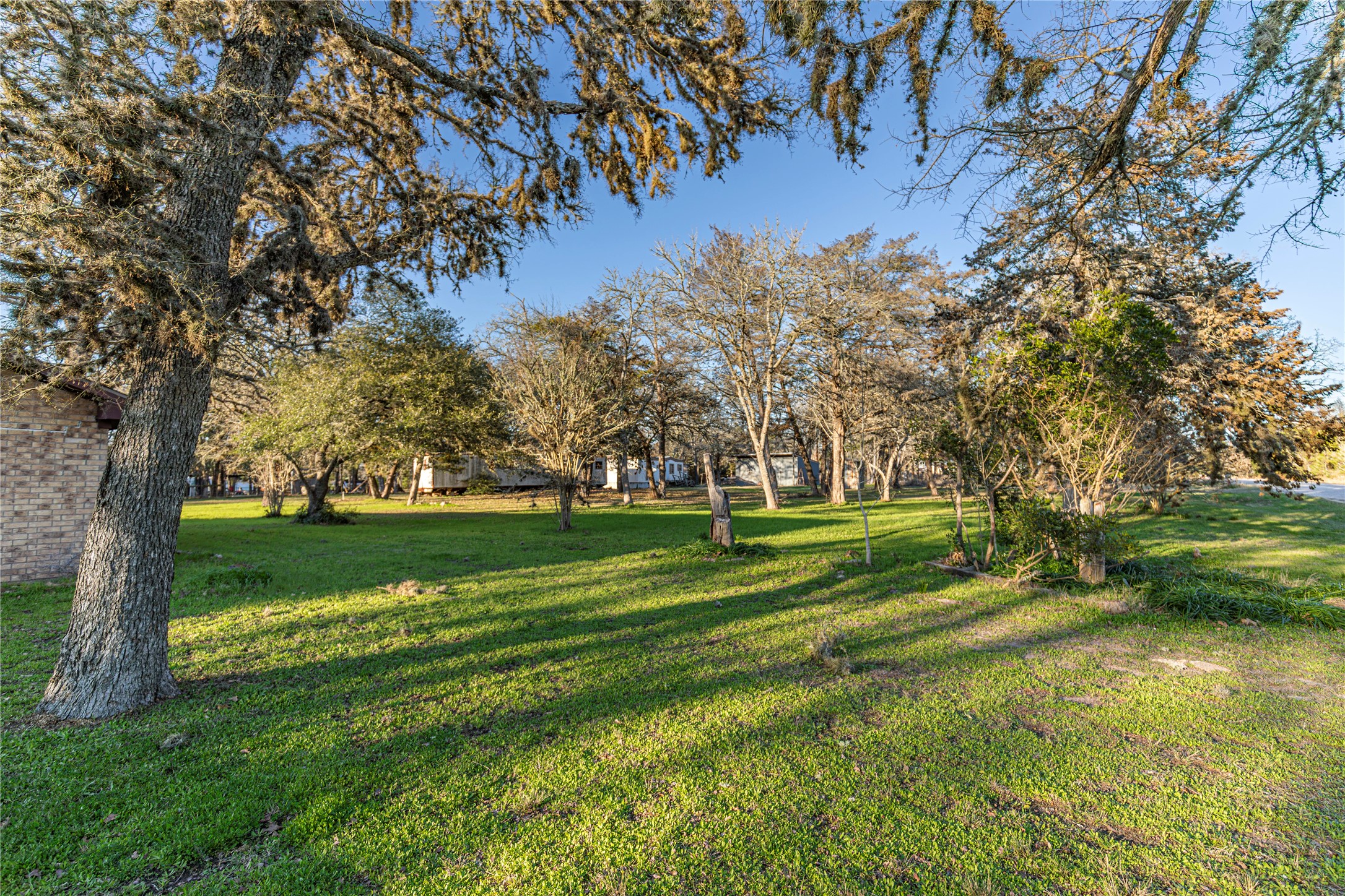 125 Forrest Lane Brenham, TX 77833 - Photo 11 of 21 a view of a park with large trees