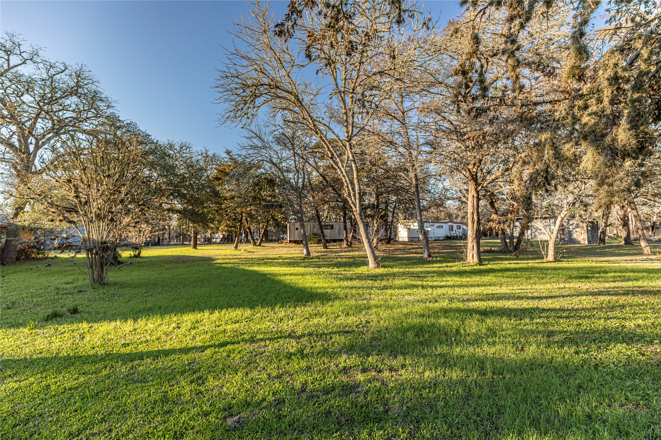125 Forrest Lane Brenham, TX 77833 - Photo 12 of 21 a yard with lots of trees and plants