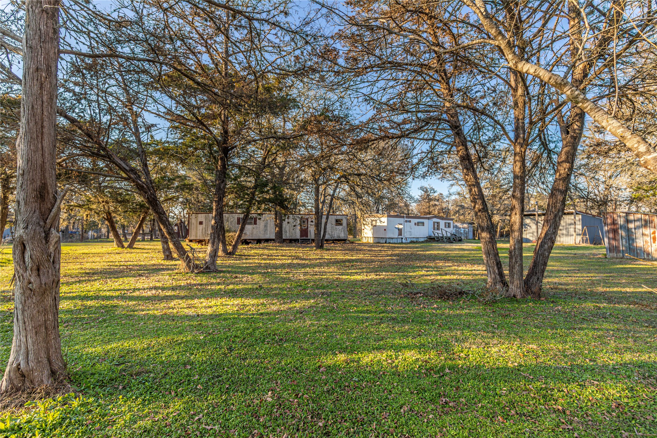 125 Forrest Lane Brenham, TX 77833 - Photo 13 of 21 a yard with trees in the background