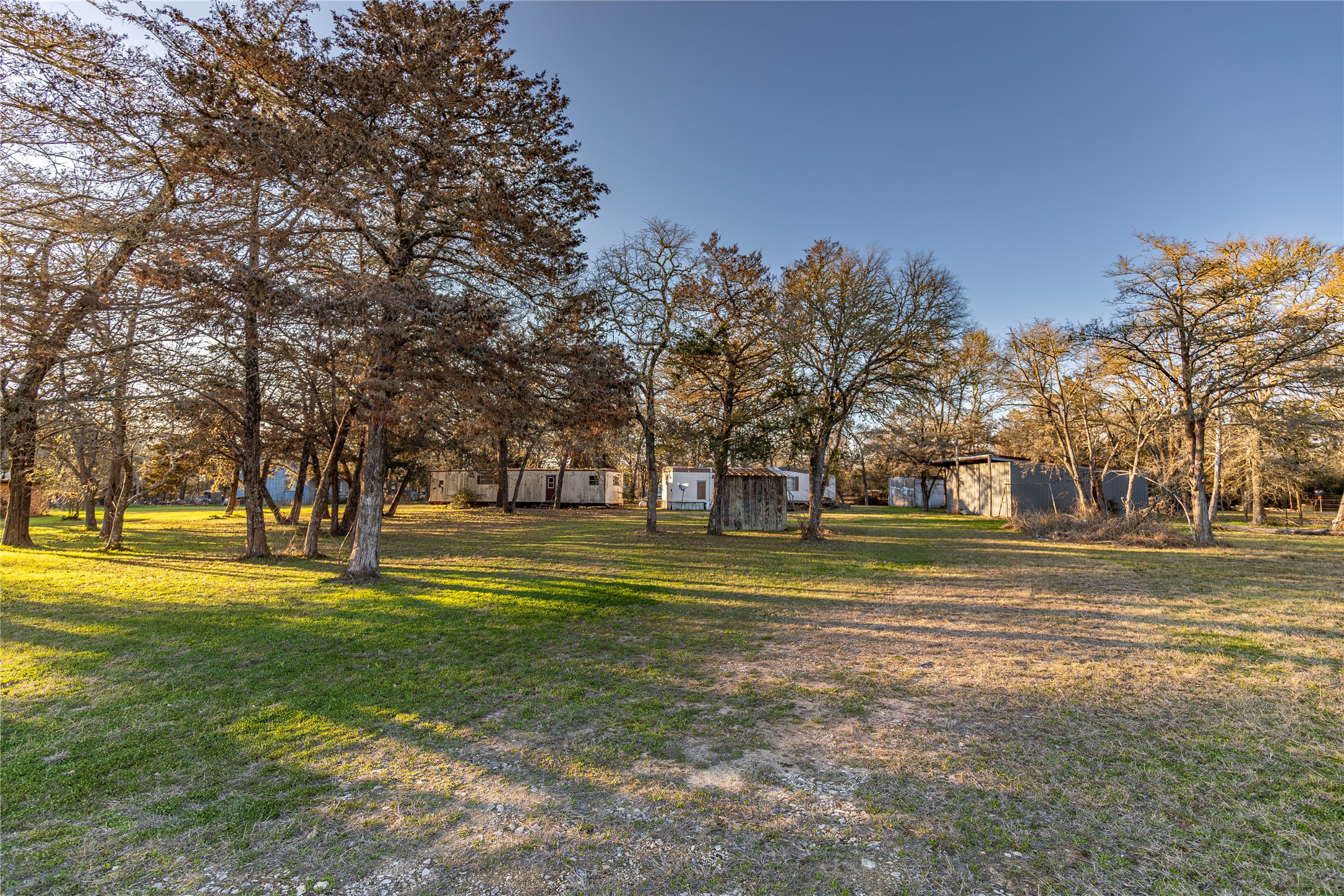 125 Forrest Lane Brenham, TX 77833 - Photo 18 of 21 a view of a house with a big yard and large trees