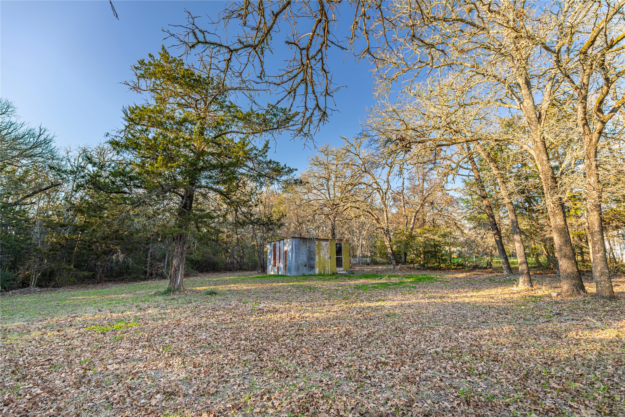 125 Forrest Lane Brenham, TX 77833 - Photo 5 of 21 a view of a yard with plants and trees