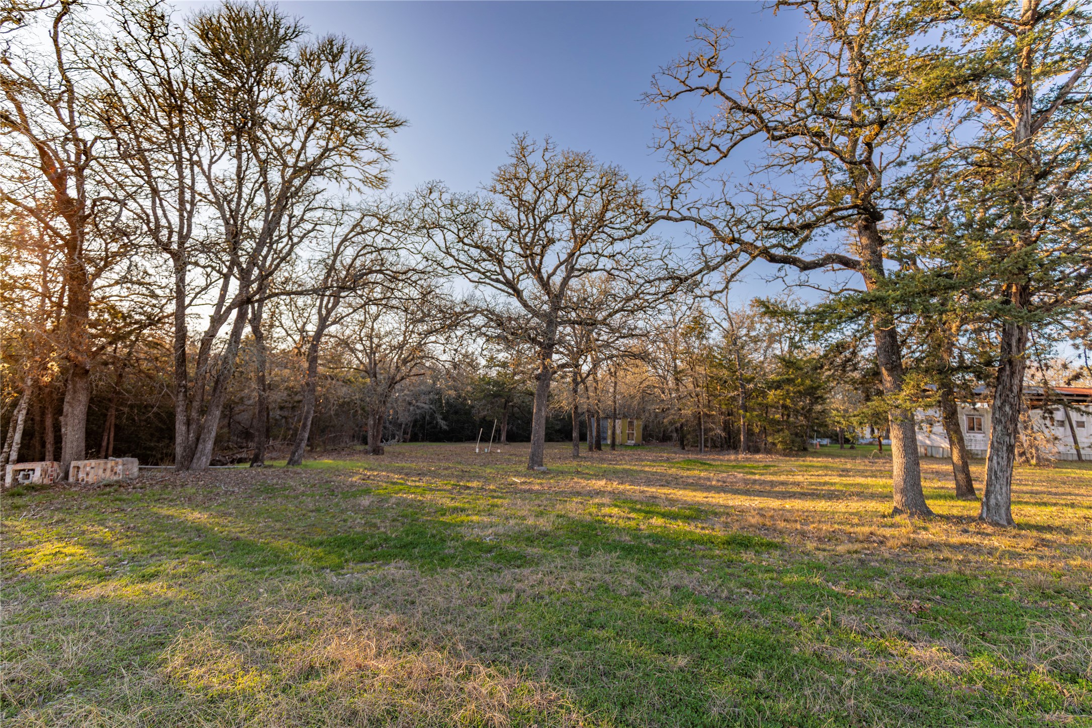 125 Forrest Lane Brenham, TX 77833 - Photo 6 of 21 a view of outdoor space with trees