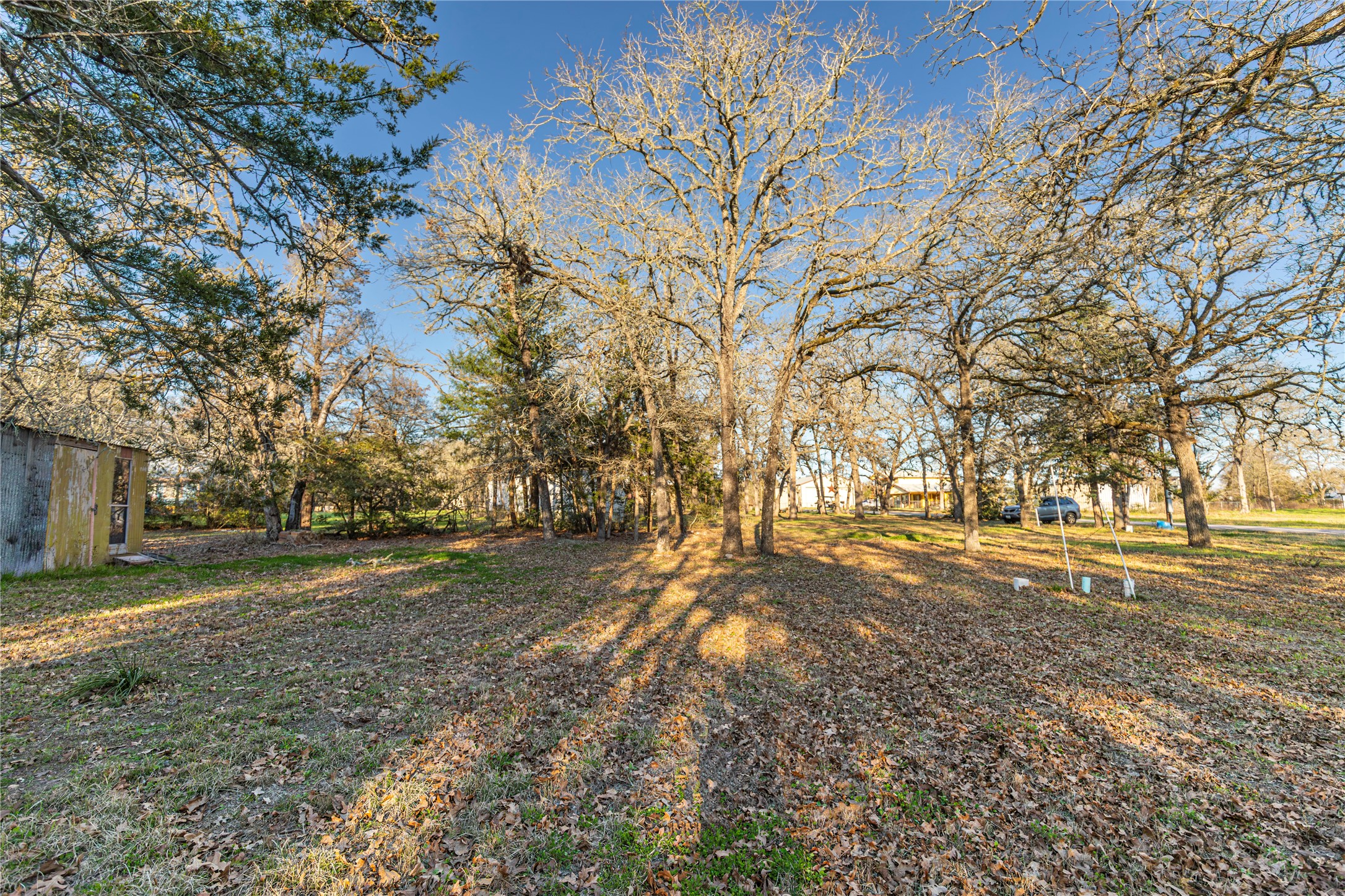 125 Forrest Lane Brenham, TX 77833 - Photo 8 of 21 a view of dirt yard with large trees
