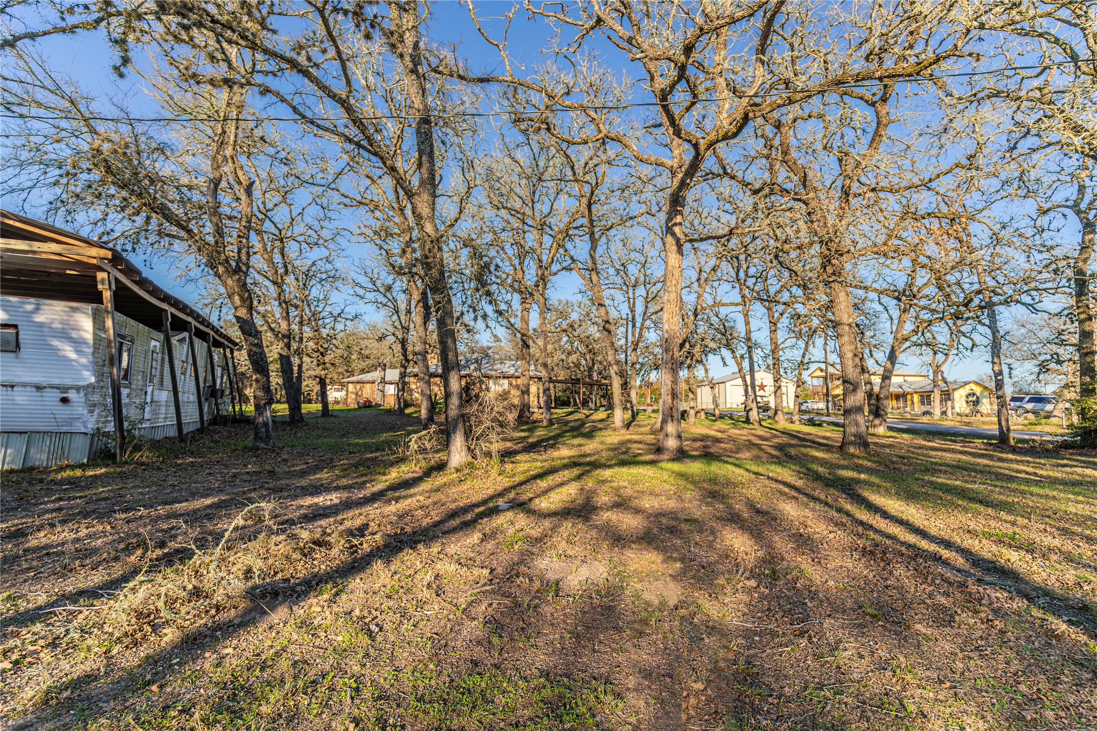 125 Forrest Lane Brenham, TX 77833 - Photo 9 of 21 a view of a yard with a large tree