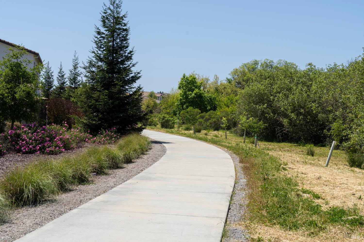 5533 Kennedy Place Rohnert Park, CA 94928 - Photo 50 of 63 a view of a park with large trees