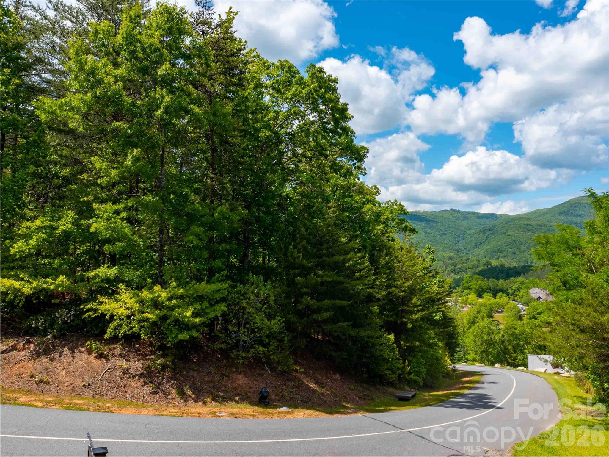 Lot 2012 Deep Gap Farm Rd Mill Spring East Mill Spring, NC 28756 - Photo 2 of 15