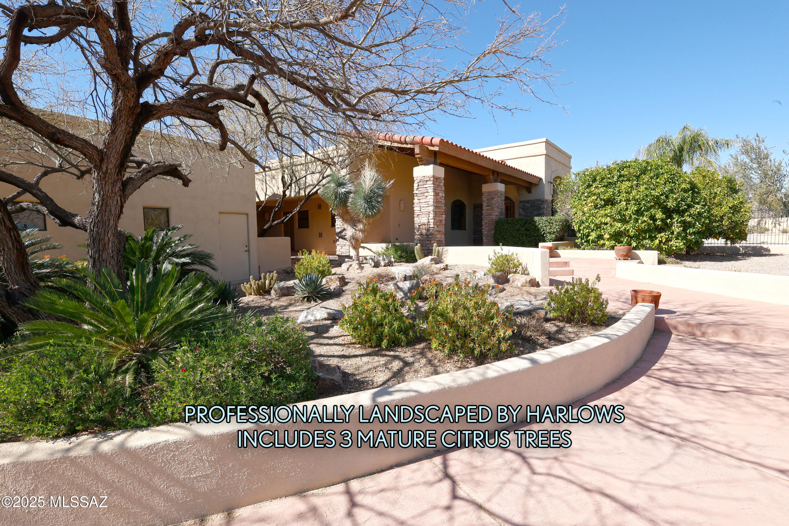 2040 West Lucero Road Oro Valley, AZ 85737 - Photo 5 of 46