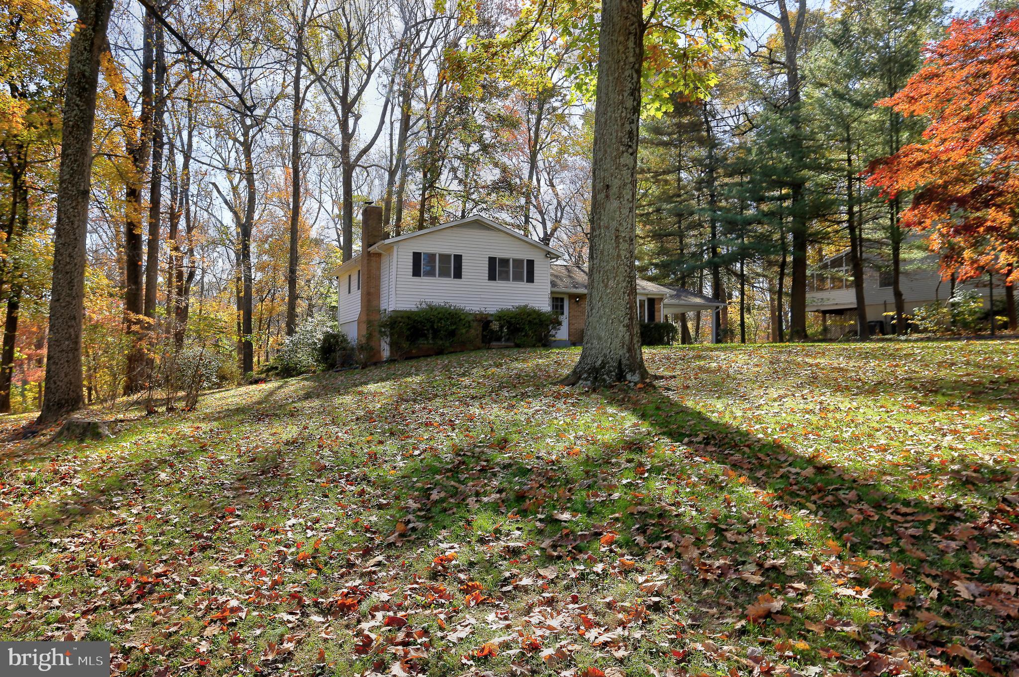 7958 Browns Bridge Road Highland, MD 20777 - Photo 47 of 59 Gallery Image 47