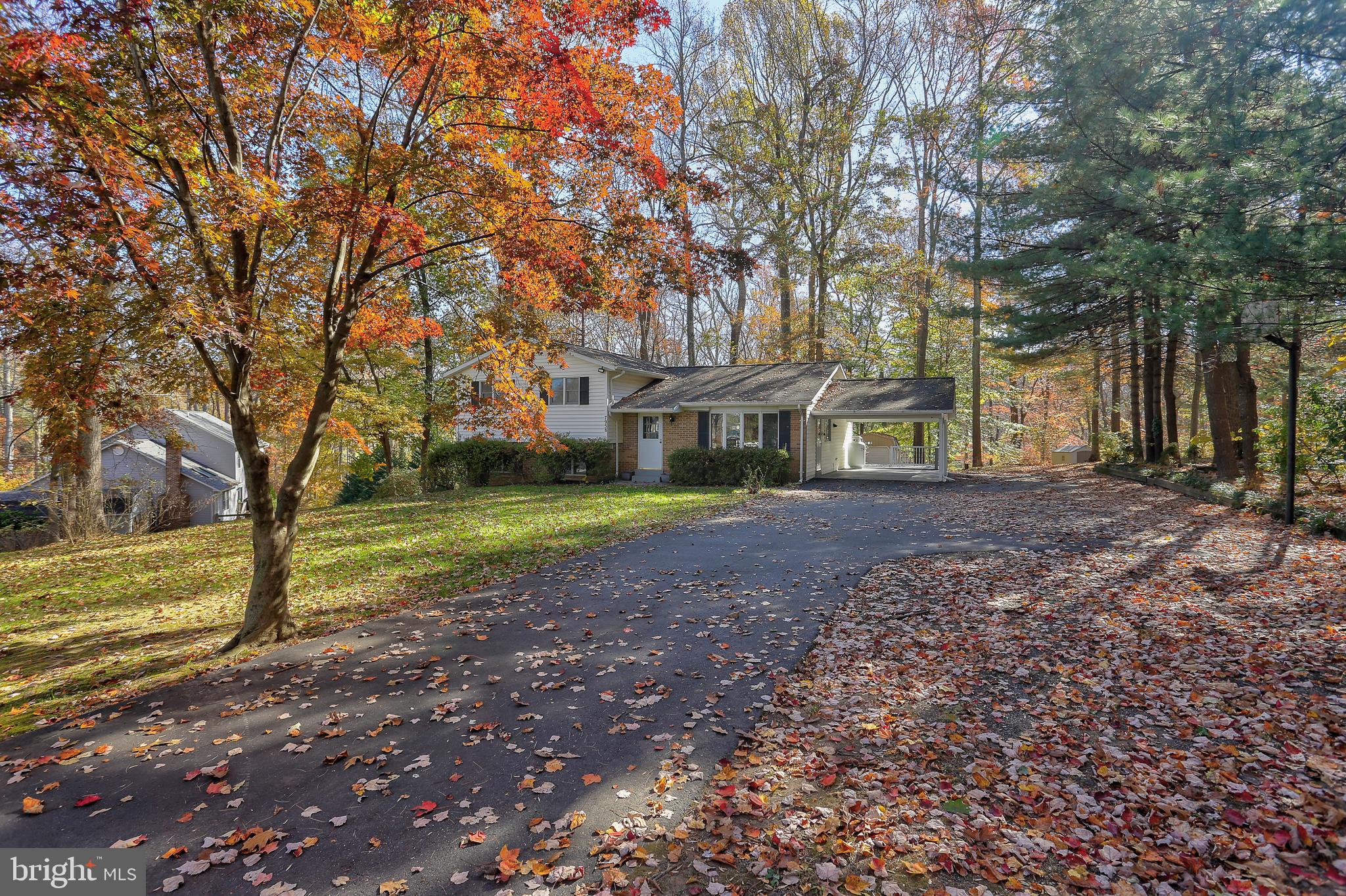 7958 Browns Bridge Road Highland, MD 20777 - Photo 48 of 59 Gallery Image 48