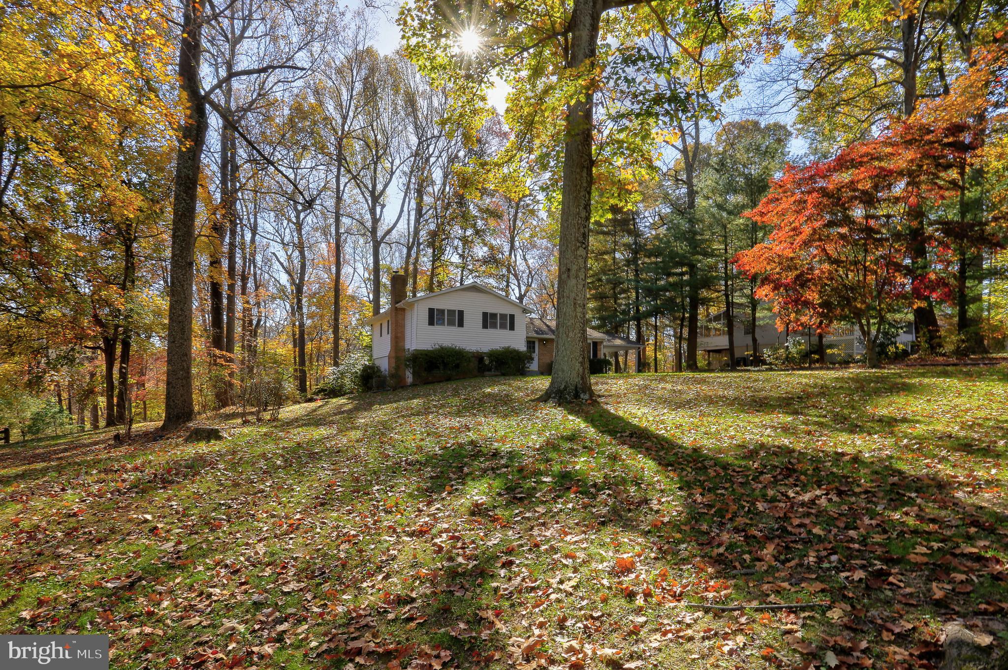 7958 Browns Bridge Road Highland, MD 20777 - Photo 51 of 59 Gallery Image 51