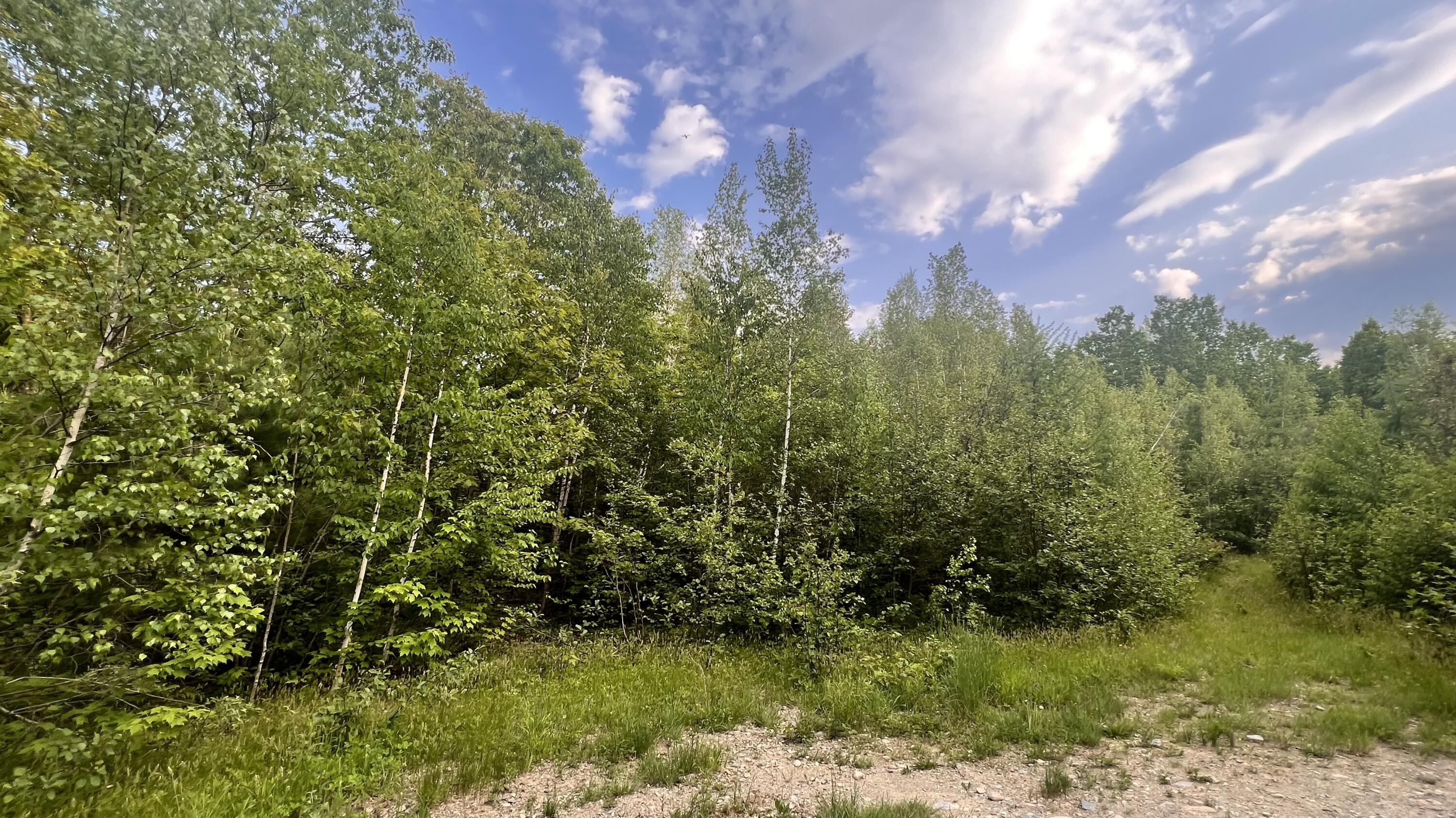 4 Map Road Parkman, ME 04443 - Photo 5 of 19 IMG_4025
