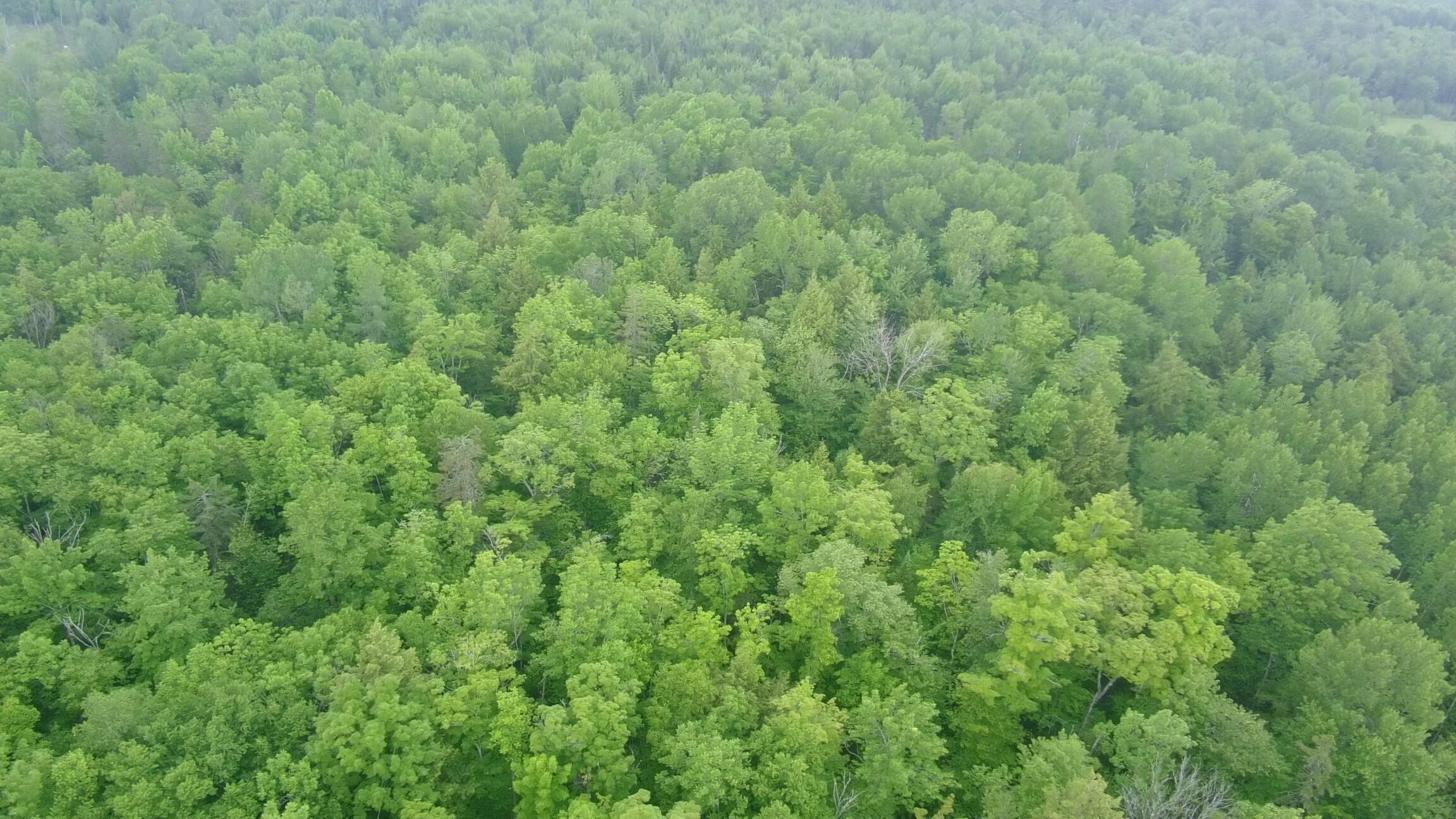 Tbd Baird Road Wellington, ME 04942 - Photo 40 of 44 4005523_100DRONE_SING0465 2