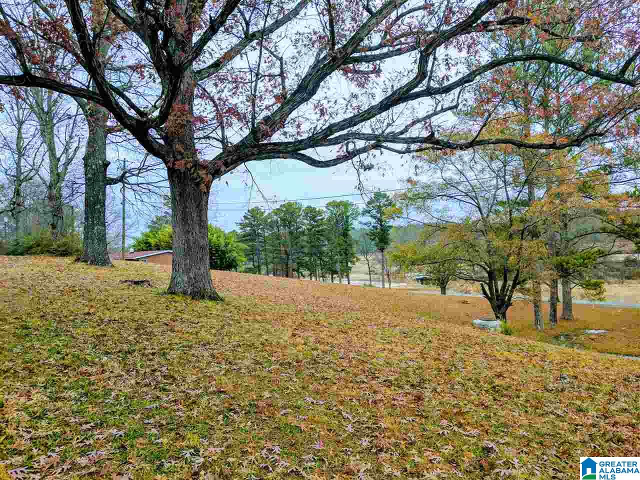 Baltzell Gate Road, Unit 1 45 Anniston, AL 36205 - Photo 10 of 19