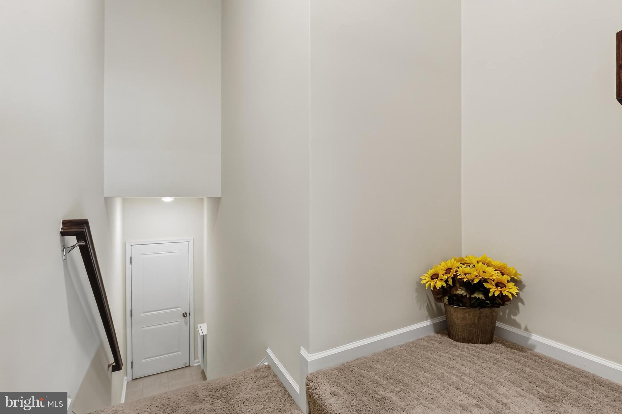 1210 Ribbon Limestone Terrace Southeast Leesburg, VA 20175 - Photo 38 of 58