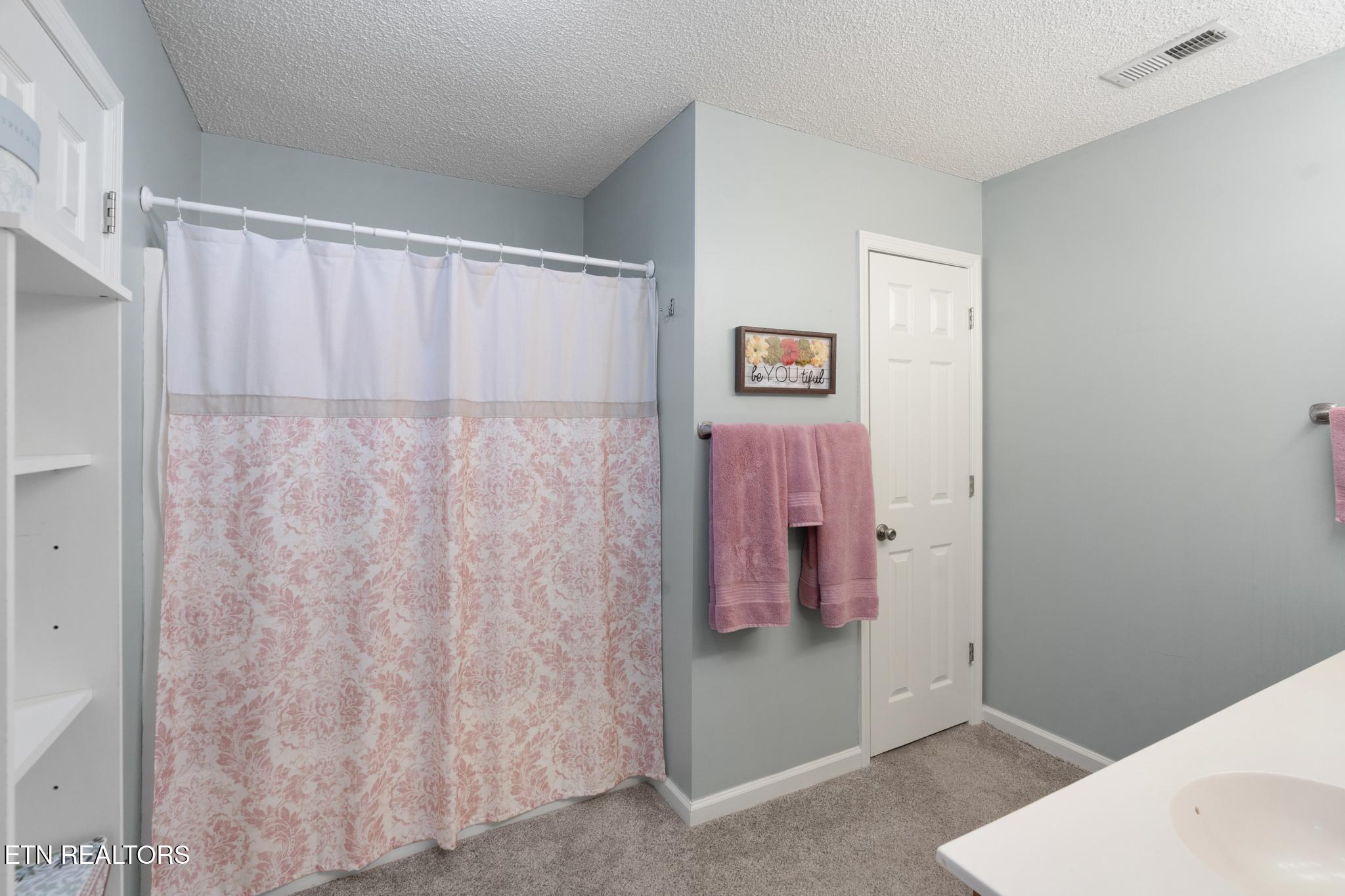 7757 Applecross Road Corryton, TN 37721 - Photo 20 of 35 7R408230