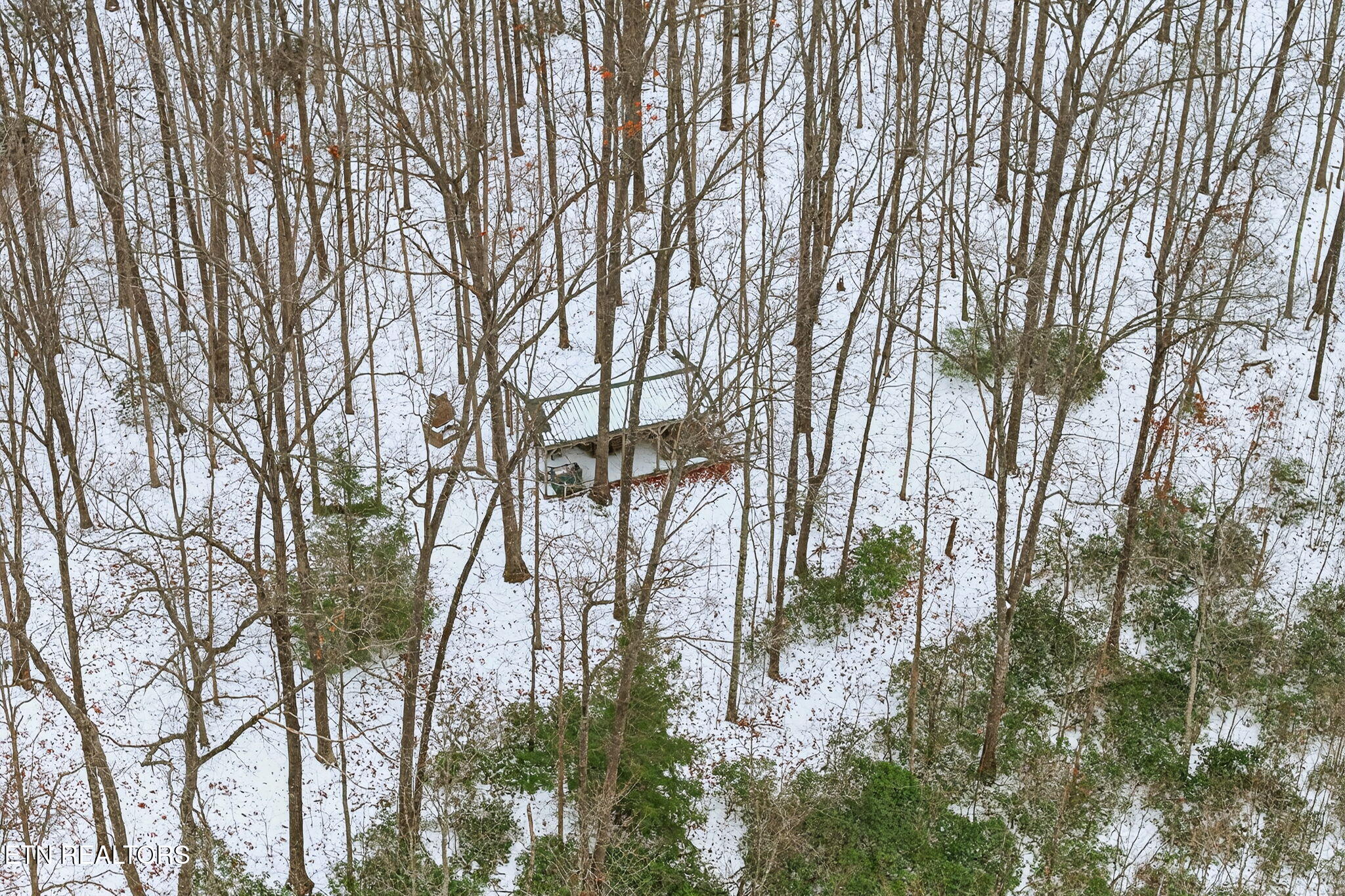 1086 Pearl Hinds Road Jamestown, TN 38556 - Photo 58 of 60 66-web-or-mls-1086 Pearl Hinds Rd_319_TN