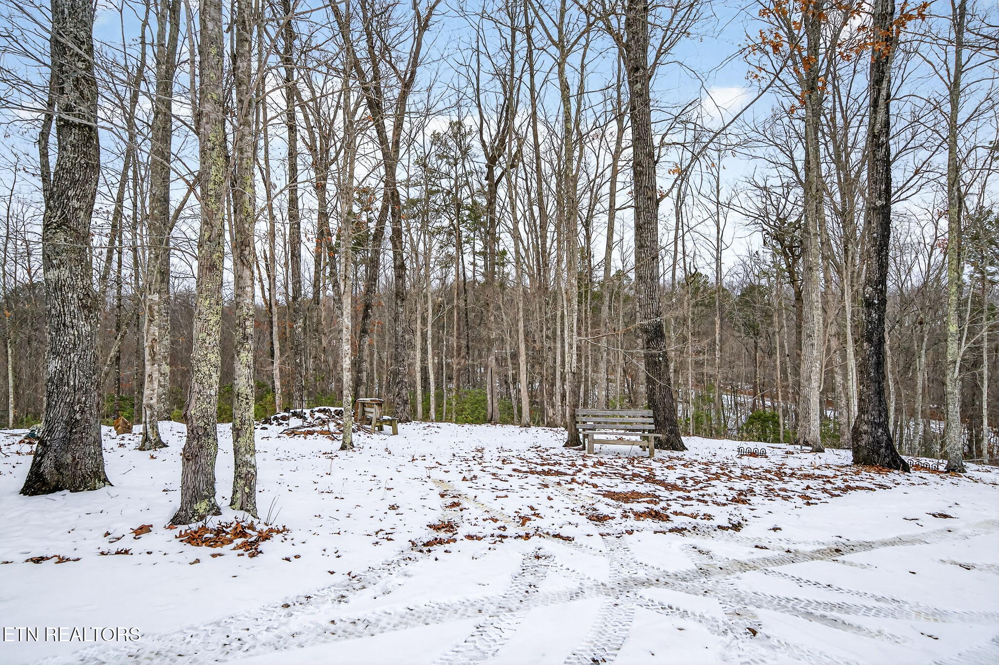 1086 Pearl Hinds Road Jamestown, TN 38556 - Photo 6 of 60 5