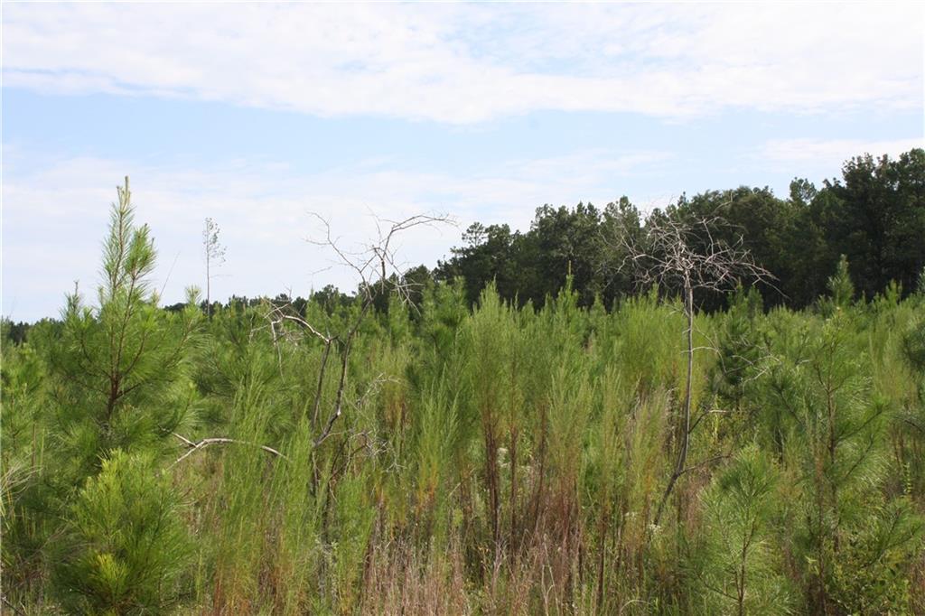 0 Balerma Church Road Sparta, GA 31087 - Photo 12 of 19 Gallery Image 12
