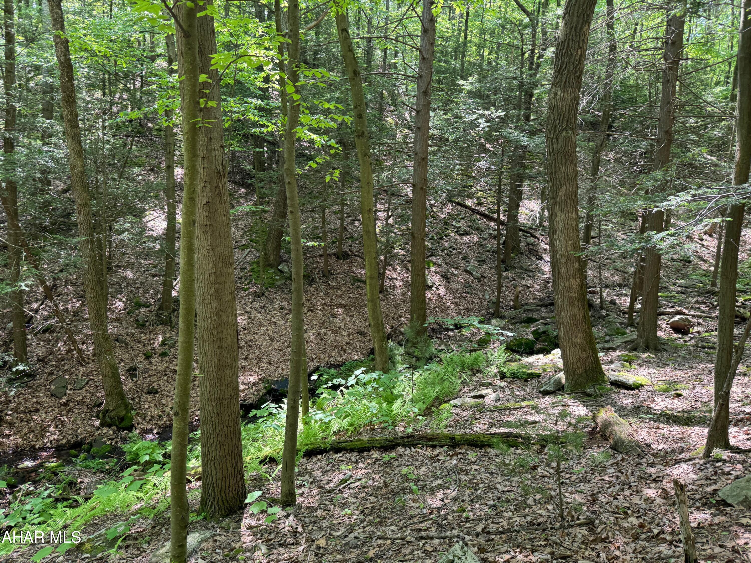Off Kettle Road New Enterprise, PA 16664 - Photo 21 of 22