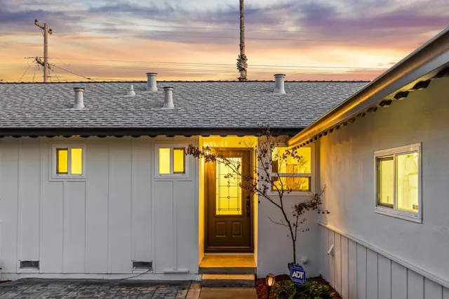 a living room with furniture potted plant and a fireplace