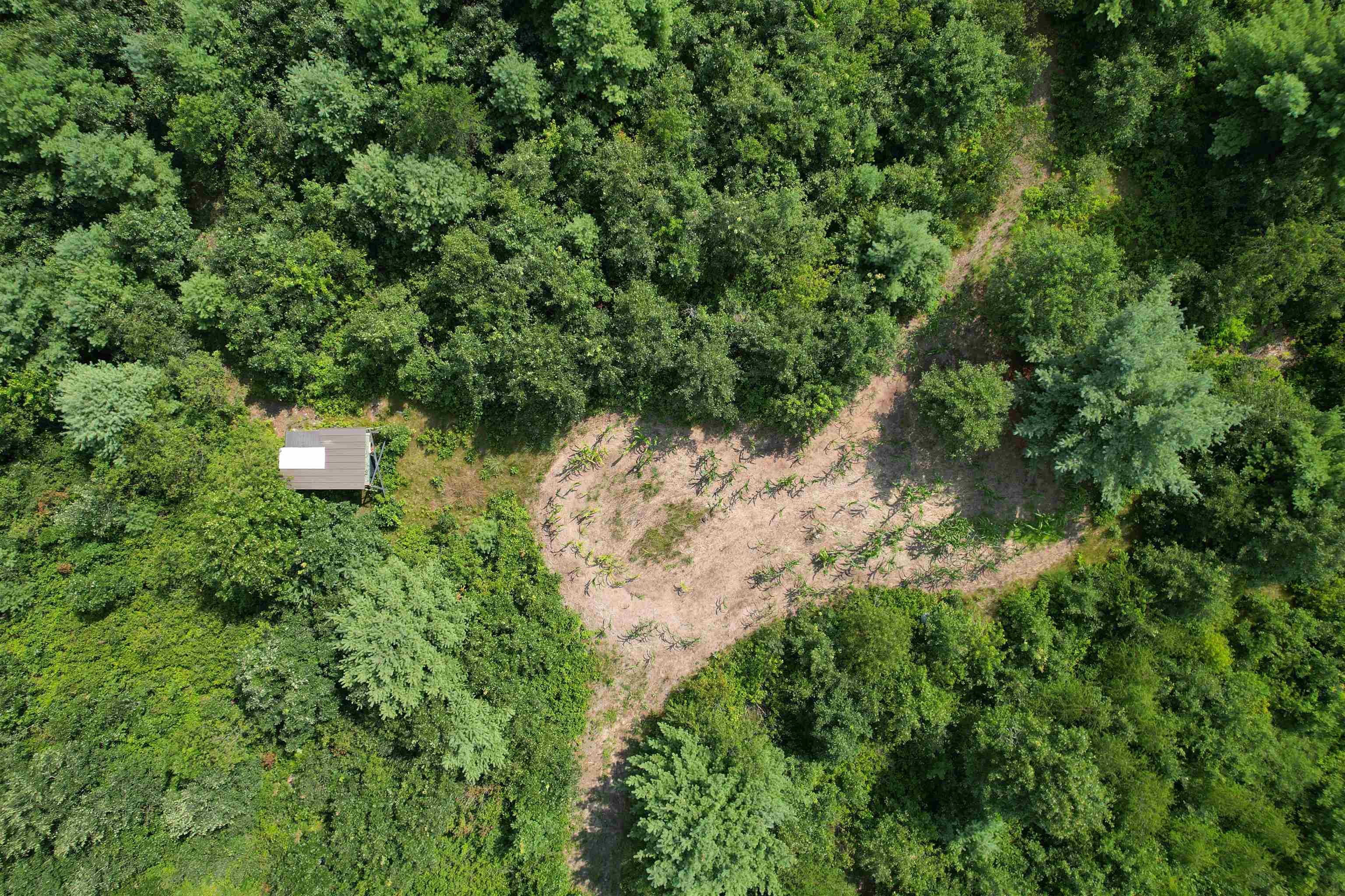 0 State Highway Friendship, WI 53934 - Photo 16 of 39