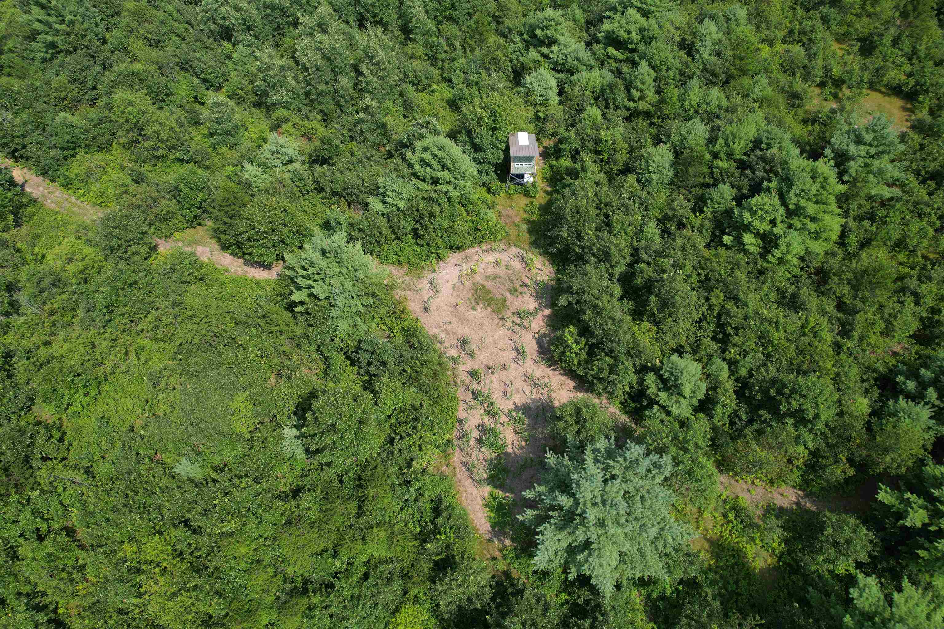 0 State Highway Friendship, WI 53934 - Photo 17 of 39